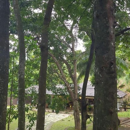 Villa D55 Kandy Zewnętrze zdjęcie